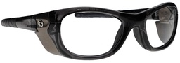 [Q100] Model Q100